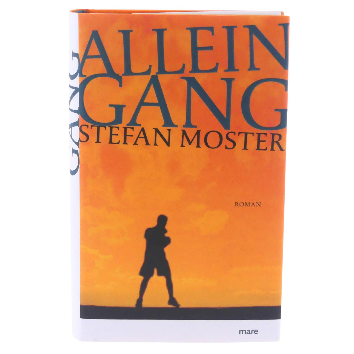Buch Alleingang Stefan Moster