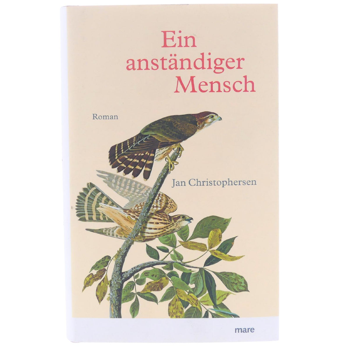Buch Ein anständiger Mensch