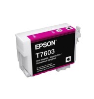 Original Epson Tintenpatrone T7603 magenta für SureColor SC-P 600 Blister